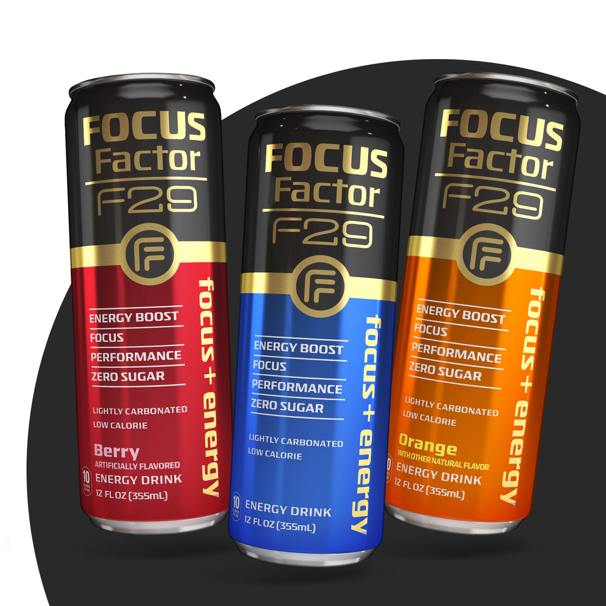F29 Focus + Energy Drink Variety Pack Focus Factor®