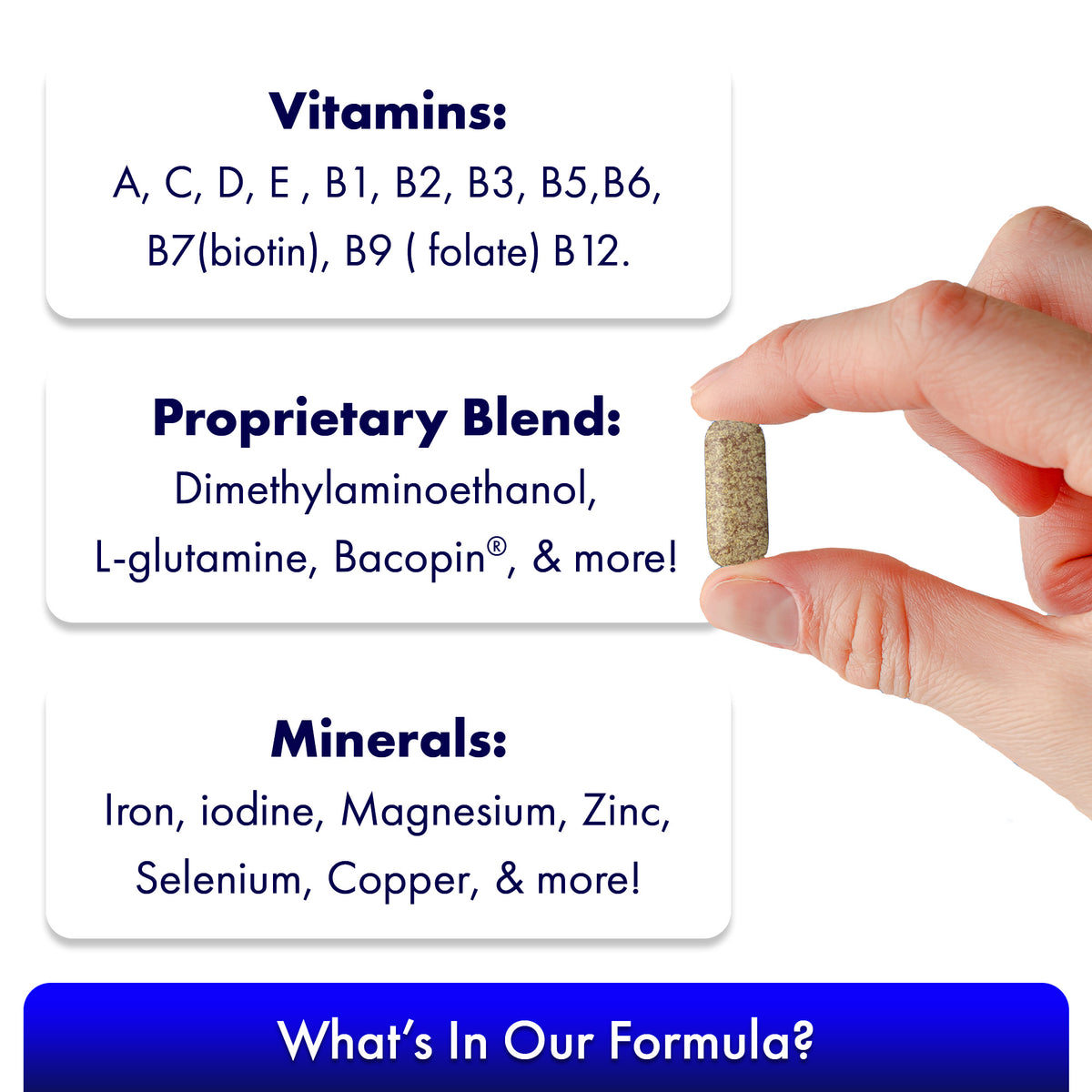 A hand holding a pill with text listing ingredients: Vitamins (A, C, D, E, B1, B2, B3, B5, B6, B7, B9, B12), Proprietary Blend with Dimethylaminoethanol to boost focus and memory along with L-glutamine and Bacopin®, complemented by essential minerals such as Iron and Magnesium. Bottom text: Focus Factor® Original†.